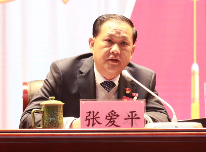 张爱平同志宣读中共华体会hth·（体育）（中国）官方网站第一届党委成员分工及纪委成员分工